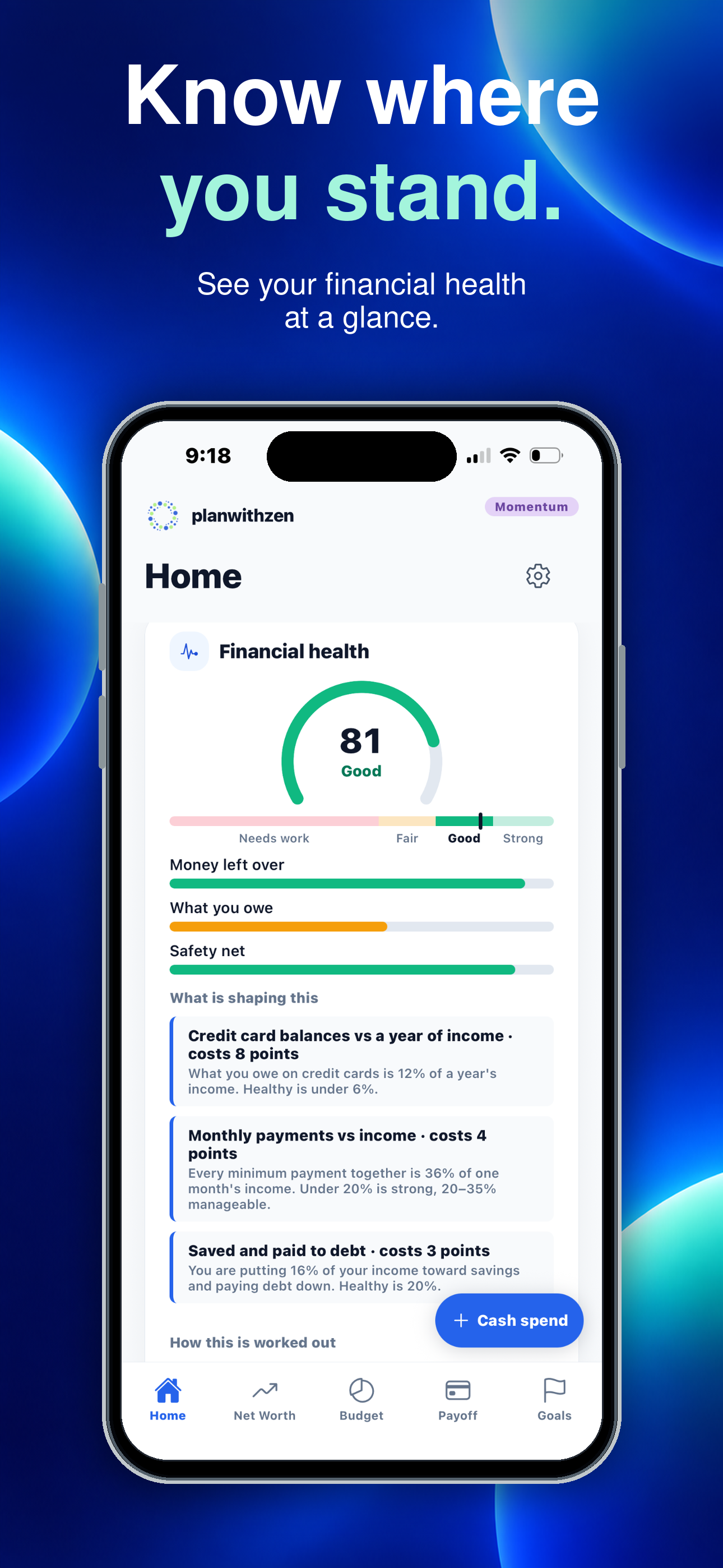 planwithzen on iPhone, showing the financial health score